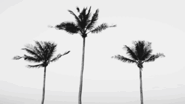 The Disease of Disunity and Differing | Tafsir al-Sa‘di