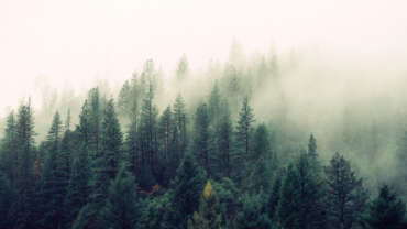 How to Interact with Non-Practicing Family and Friends – Shaykh Ibn Uthaymin