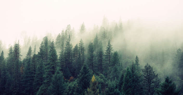 How to Interact with Non-Practicing Family and Friends – Shaykh Ibn Uthaymin